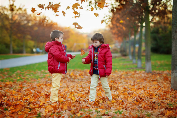 Two kids, boy brothers, playing with leaves in autumn park, sunny afternoon - Fotoğraf, Görsel