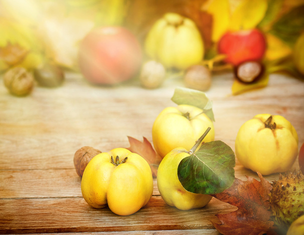 Quinces - Fruta de otoño
 - Foto, Imagen