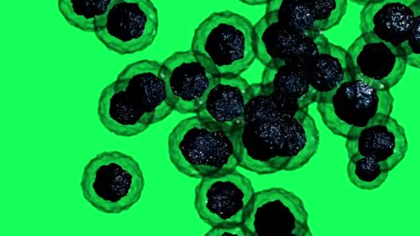 animaatio sairaiden punasolujen virtaa sisällä ihmisen laskimoon vihreällä näytöllä - Materiaali, video