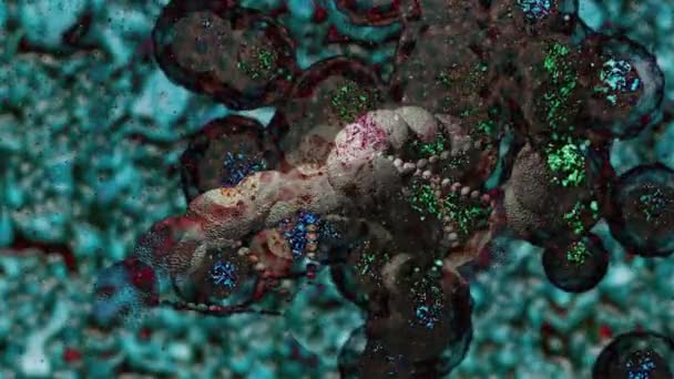 animazione di Malati globuli rossi che scorrono all'interno della vena umana sullo schermo verde - Filmati, video