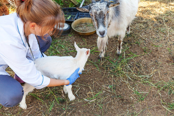Jonge dierenarts vrouw met stethoscoop vasthouden en onderzoeken geit kind op ranch achtergrond. Jonge geiten in veeartsenijhanden voor controle in natuurlijke eco-boerderij. Moderne veeteelt, ecologische landbouw - Foto, afbeelding