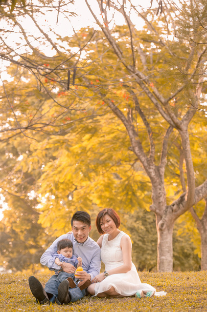 Азіатський молода сім'я веселяться на свіжому повітрі восени - Фото, зображення