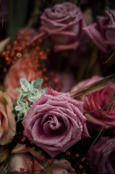 Fiori rosa e viola con gocce di pioggia - Foto, immagini