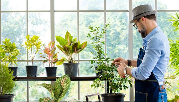 An elderly man handsome with have mustache wearing glasses is happy with tree care. is a hobby of gardening at home, living happily after retirement. Concepts nature and environment. - Photo, Image