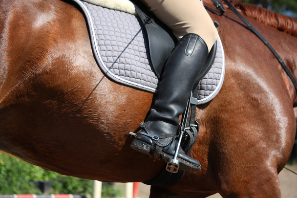 Close up of rider leg - Photo, Image