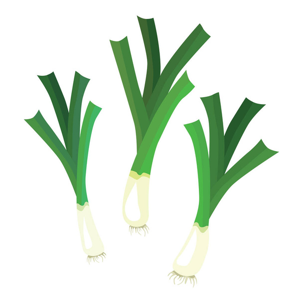 Set leek or pearl is a herbaceous plant of the Onion subfamily. A tasty and healthy plant used for food. Vector illustration isolated on a white background for design and web. - Vettoriali, immagini
