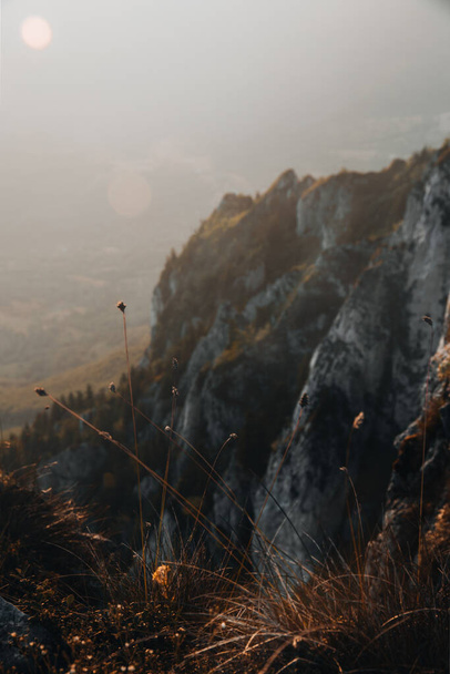 A vertical shot of a landscape with rock cliffs - Fotografie, Obrázek