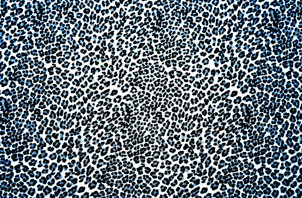 Leopard Print - Photo, Image