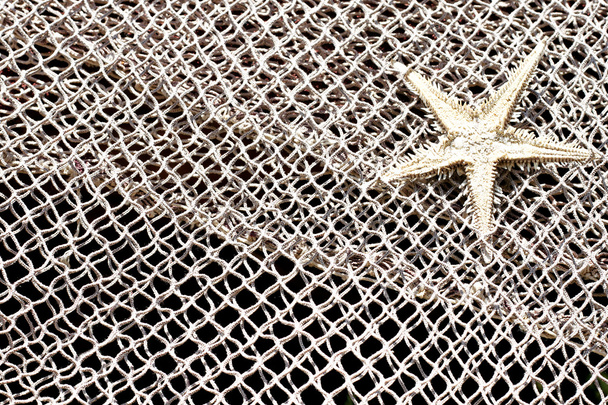 Starfish and fishnet background - Photo, Image