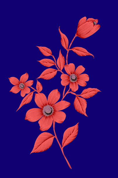 An illustration of beautiful flowers - natural background or wallpaper - Foto, Imagem
