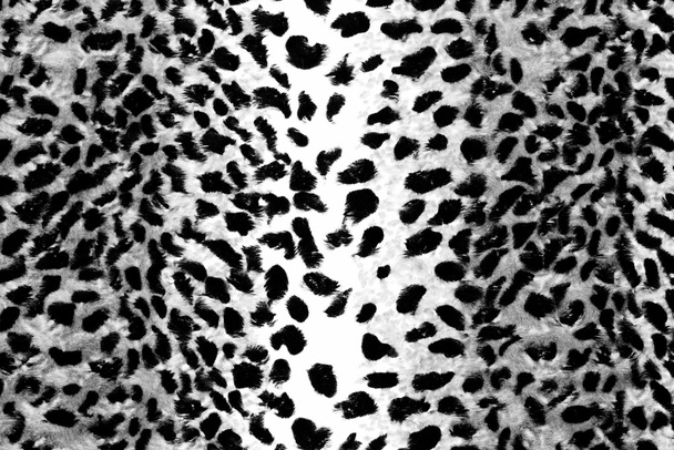 impressão de leopardo
 - Foto, Imagem