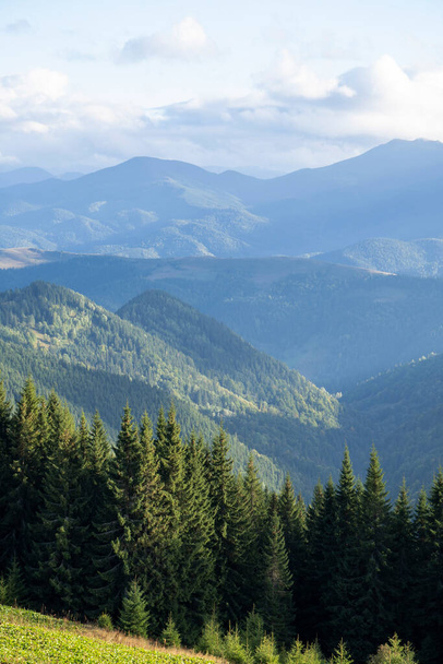 Krásný podzimní pohled na hory pokryl jehličnatý les. Národní park Velké Kouřové hory, Ukrajina.  - Fotografie, Obrázek