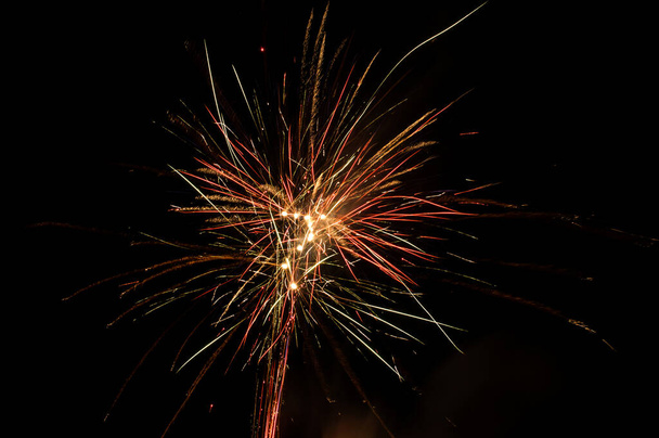 A beautiful firework in the night sky - Fotoğraf, Görsel