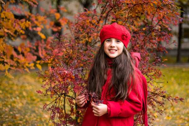 晴れた秋の公園で美しい女の子。秋に公園で遊ぶ子供たち。秋の気分. - 写真・画像