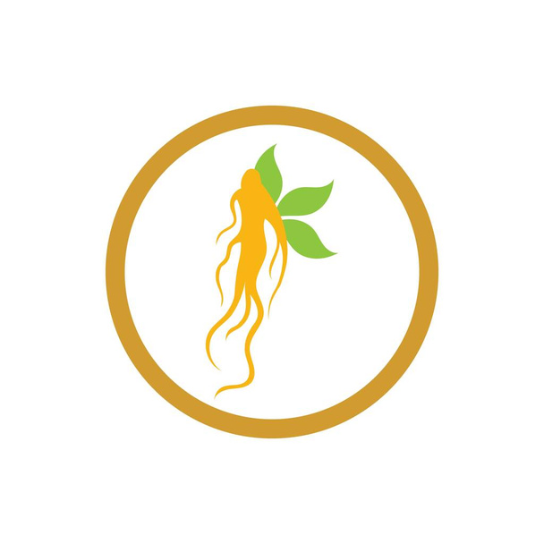 Ginseng simgesi Vektör İllüstrasyon Tasarımı Logo şablonu - Vektör, Görsel