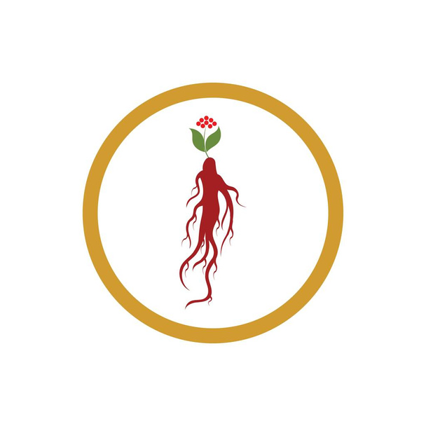 Ginseng simgesi Vektör İllüstrasyon Tasarımı Logo şablonu - Vektör, Görsel