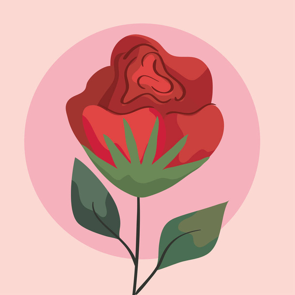 beauty red rose flower - Vektor, kép