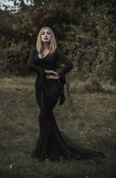 Čarodějnice v černých šatech, Halloween koncept, nápady na párty, perfektní dáma v tmavě gotických šatech - Fotografie, Obrázek