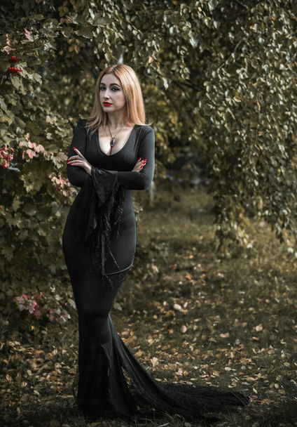 Bruja en vestido negro, concepto de Halloween, ideas para la fiesta, dama perfecta en ropa gótica oscura - Foto, Imagen