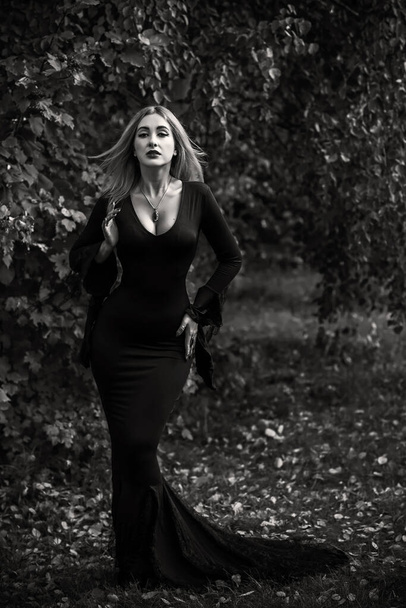 Bruxa em vestido preto, conceito de Halloween, ideias para a festa, senhora perfeita em roupas góticas escuras - Foto, Imagem
