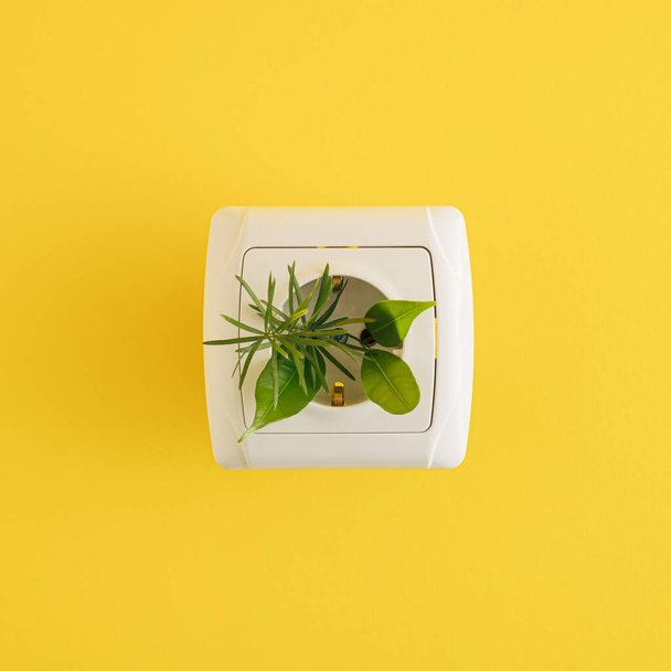 Renewable energy arrangement made of socket and green leaves on the yellow background. Minimal flat lay concept. - Foto, Bild