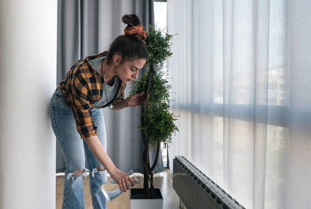 Young beautiful woman holding water jug, watering green plants in pot. Happy attractive millennial housewife enjoying taking care of domestic flowers, gardening and housekeeping hobby concept. - Photo, image