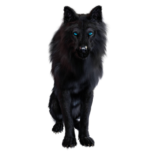 Dire wolf na izolovaném pozadí, 3D ilustrace, 3D vykreslování - Fotografie, Obrázek
