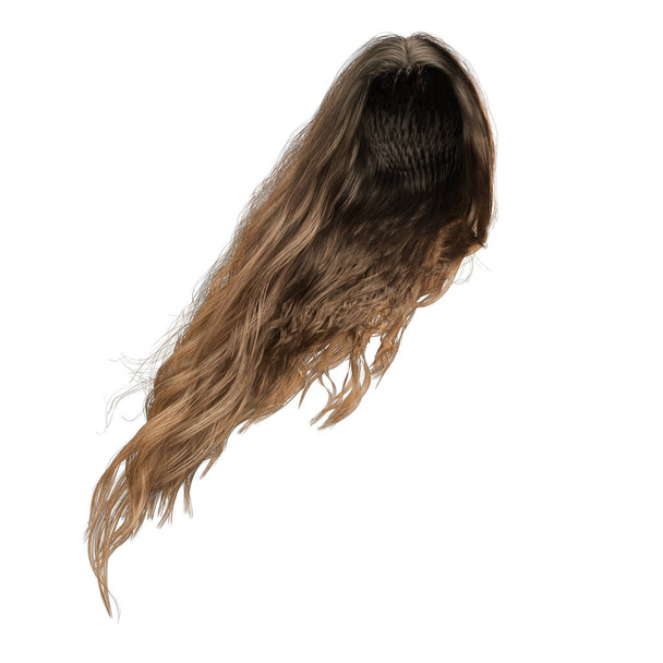 renderização 3d, ilustração 3d, fantasia cabelo ondulado longo no fundo branco isolado - Foto, Imagem