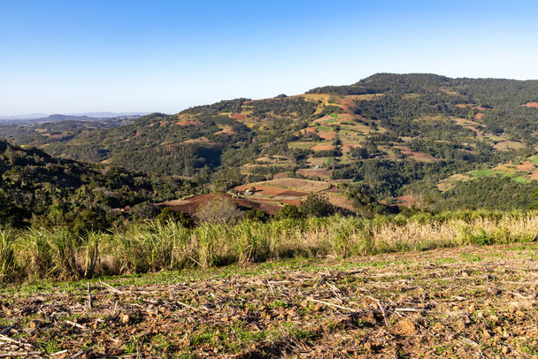 Фермерская плантация с лесами и горами вокруг, Риу-Гранди-ду-Сул, Бразилия - Фото, изображение