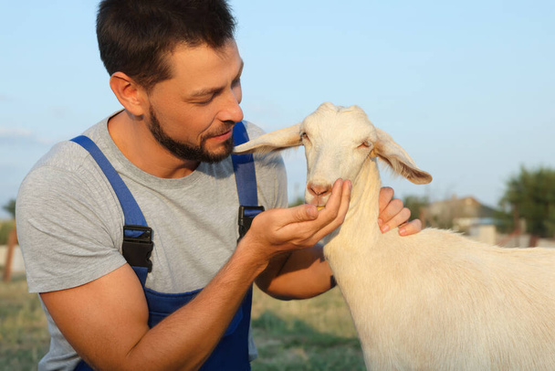 Man feeding goat at farm. Animal husbandry - Φωτογραφία, εικόνα
