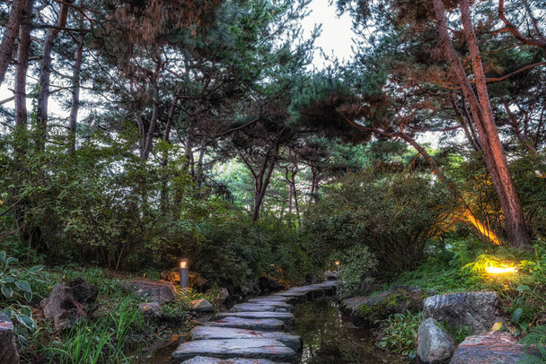 Semiwon zahrada v noci obklopen různými metasequoia stromy a borovicemi.. Taken v Yangpyeong, Jižní Korea - Fotografie, Obrázek