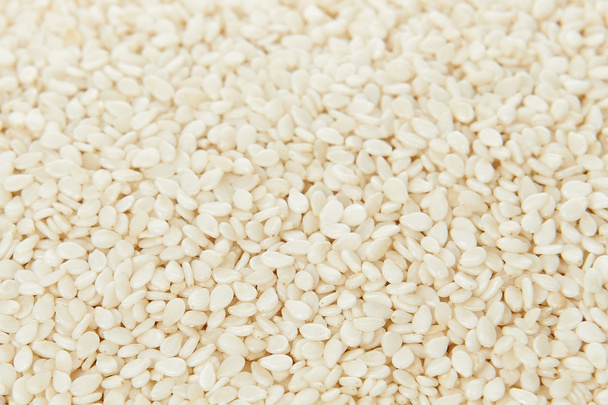 Sezamová semena - Fotografie, Obrázek
