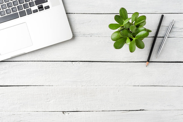 Modern laptop, green succulent and pens on white wooden background. Office desktop. Top view - Φωτογραφία, εικόνα