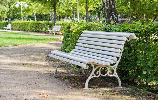 wooden bench - Photo, Image