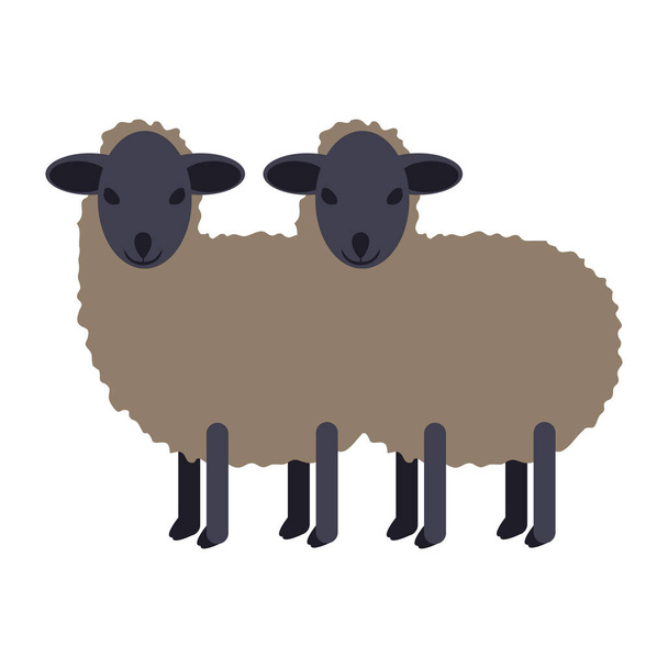 Deux petits moutons noirs isolés - Vecteur, image