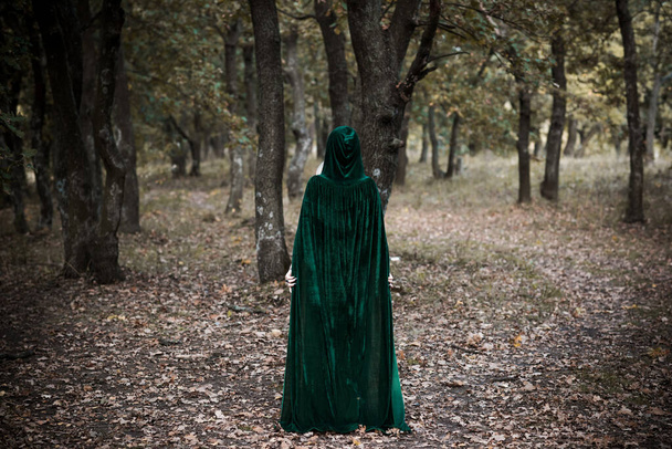 Donker mystiek bos, Halloween ideeën voor feest, kleding voor dames, concept van tovenaars en magie - Foto, afbeelding