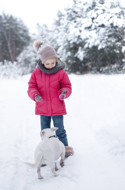 Маленькая девочка в яркой куртке играет в зимнем заснеженном лесу со своим собачьем Джеком Расселом терьером - Фото, изображение