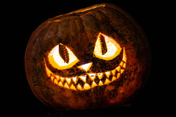 The smile of a cat carved on a Halloween pumpkin - Фото, зображення