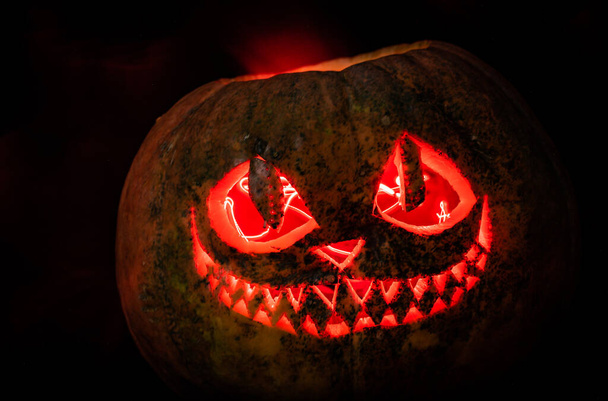 The smile of a cat carved on a Halloween pumpkin - Foto, Imagen