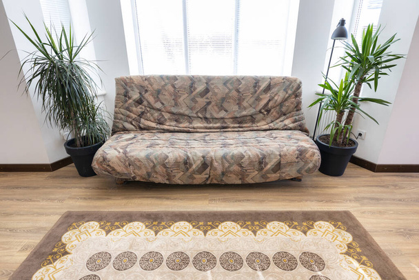 Brown sofa in modern living room interior - Fotoğraf, Görsel