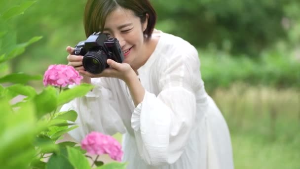 Une femme photographiant hortensia avec un appareil photo reflex mono-objectif  - Séquence, vidéo