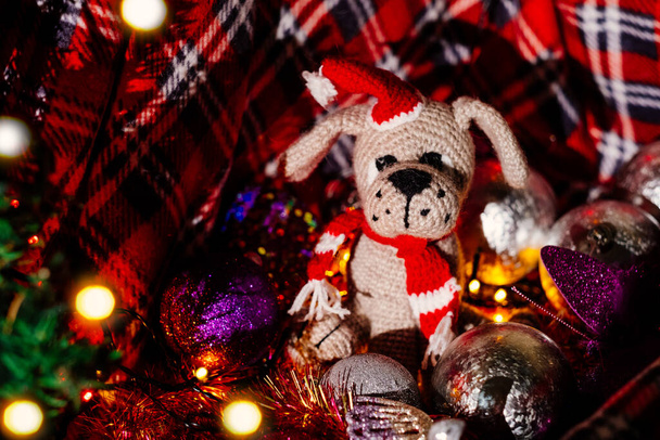 Het concept van Kerstmis en Nieuwjaar 2021. Een feestelijke wenskaart met ongefocuste feestelijke lichtjes op de achtergrond. Een hond met speelgoed. Kerstspeelgoed. - Foto, afbeelding