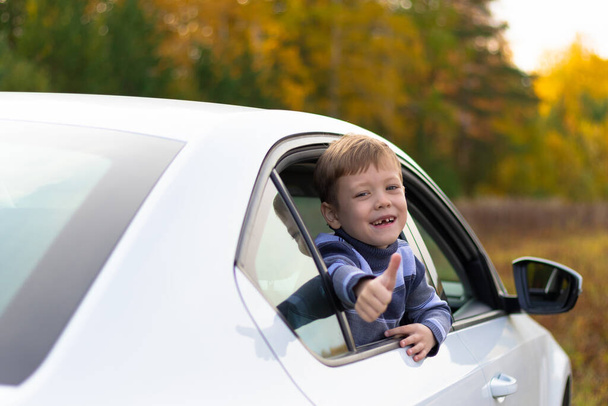 Un ragazzo carino di sette anni si sporge dal finestrino di una macchina bianca in una calda giornata autunnale soleggiata sullo sfondo del fogliame giallo. Concentrazione selettiva. Ritratto - Foto, immagini