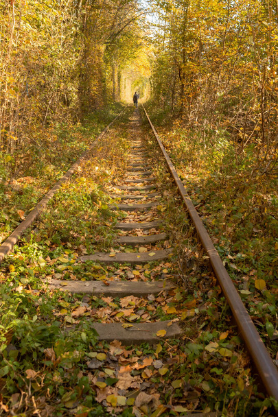 秋の鉄道。電車で旅行。レールは距離に入ります。寝台とレール。視点の平行線。線路沿いを歩きます。ヨーロッパの観光。新鮮な空気だ。カラフルな葉の秋. - 写真・画像