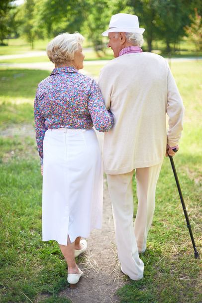 Las personas mayores caminan en el parque
 - Foto, imagen