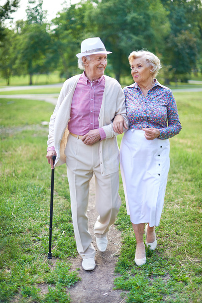 Seniors walk in the park - Фото, изображение