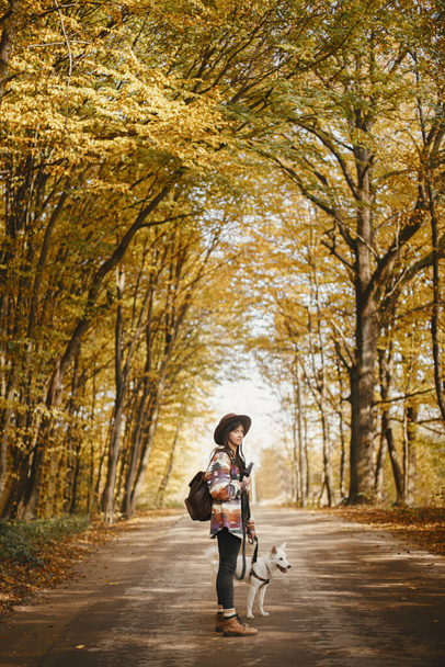 Femme élégante voyageur chapeau avec sac à dos marche avec chien mignon sur la route dans les bois ensoleillés d'automne. Jeune femme hipster randonnée avec berger suisse chien blanc. Concept de voyage et d'errance - Photo, image
