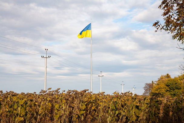 De grote nationale vlag van Oekraïne wappert in de blauwe lucht - Foto, afbeelding