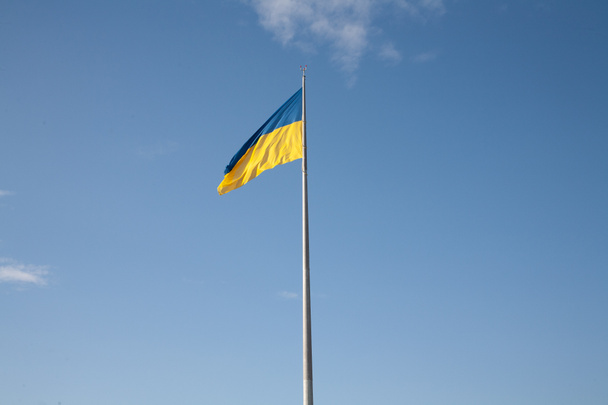 The large national flag of Ukraine flies in the blue sky - Foto, afbeelding