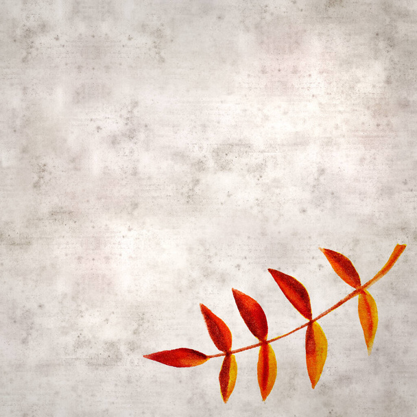 stylish textured old paper background with autumnal leaves in color ink - Фото, изображение